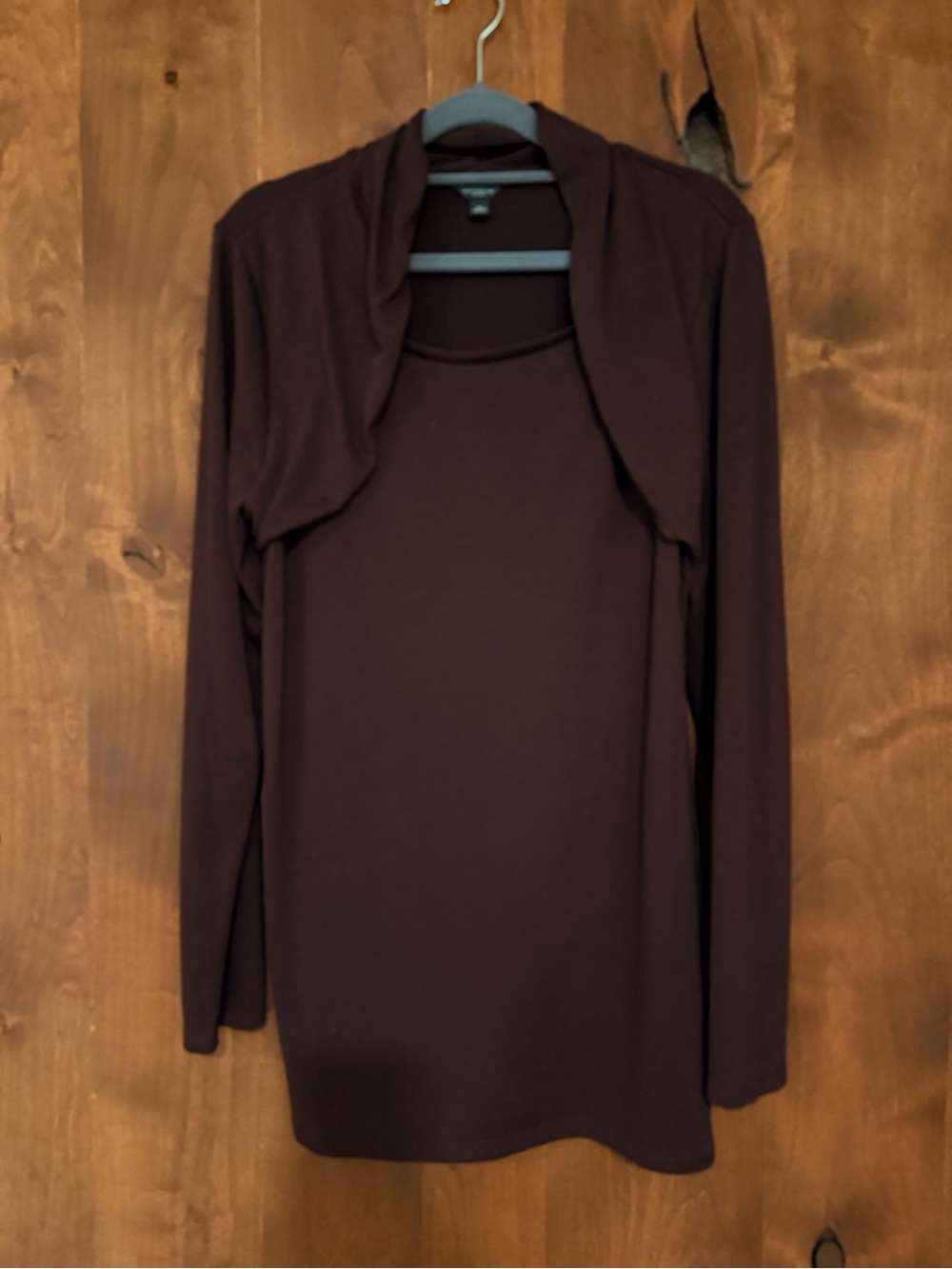 Ann Taylor Dark Wine Top
